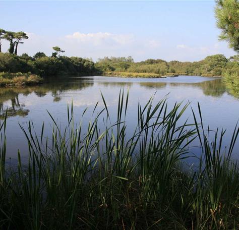 Lac près du camping à Fouesnant 