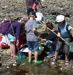 Découverte de la pêche à pied pour les enfants dans le Finistère Sud